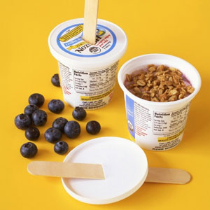 Healthy Grab and Go Breakfasts - yogurt pops